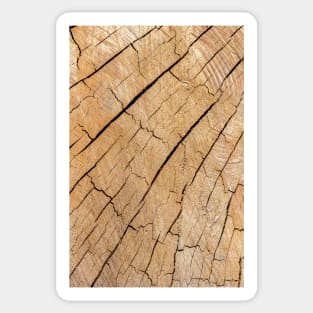 Natural wooden texture Sticker